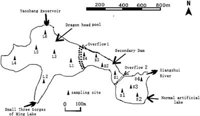 Evaluation of Heavy Metal Pollutants From Plateau Mines in Wetland Surface Deposits